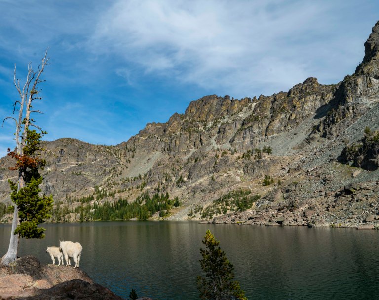 David BeckMcCallDSC07640