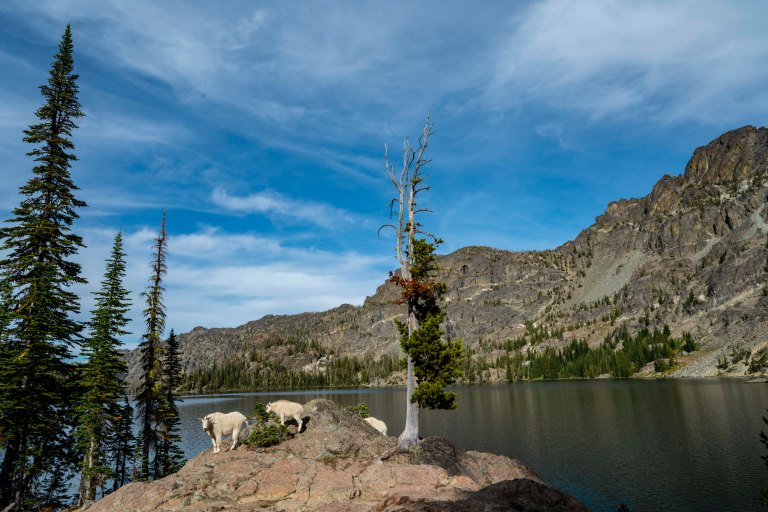 David BeckMcCallDSC07641