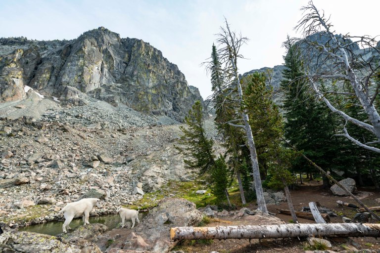 David BeckMcCallDSC07660