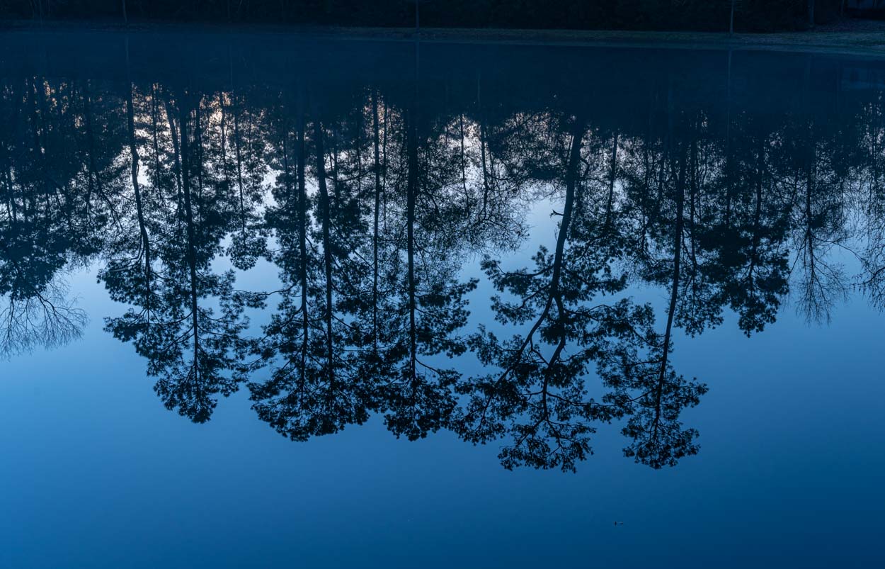 Mason Pond Sunrise, Shenandoah, Texas
