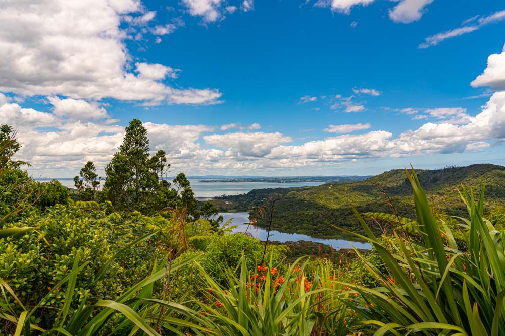Waitakere Ranges Hike Waitakere Ranges Regional Park and Piha Beach, New Zealand