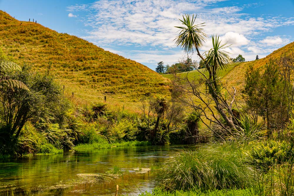 Blue Spring Putaruru and Lake Rotorua, New Zealand