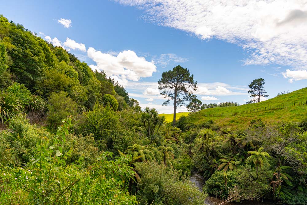 Blue Spring Putaruru and Lake Rotorua, New Zealand