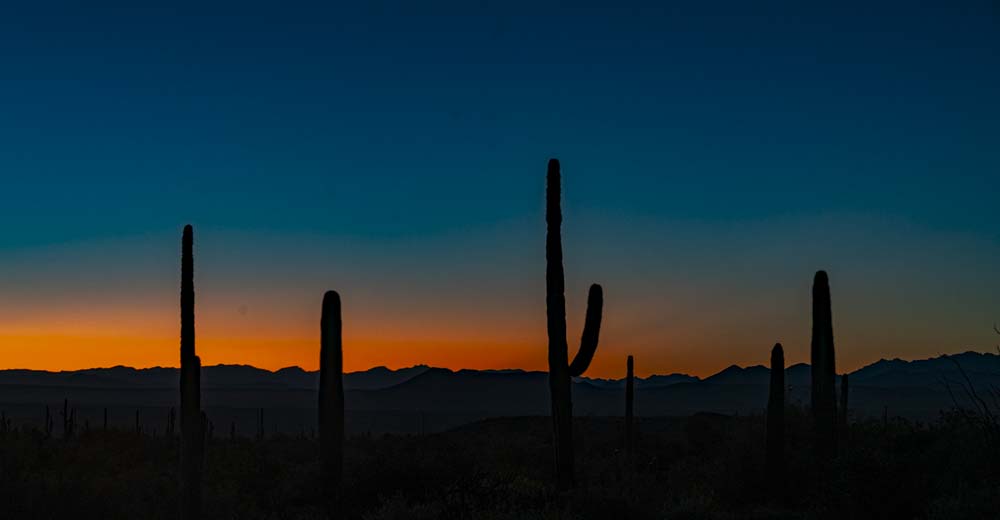 Morning Photo Shoot – McDowell Mountain Regional Park – Mariposa County ...